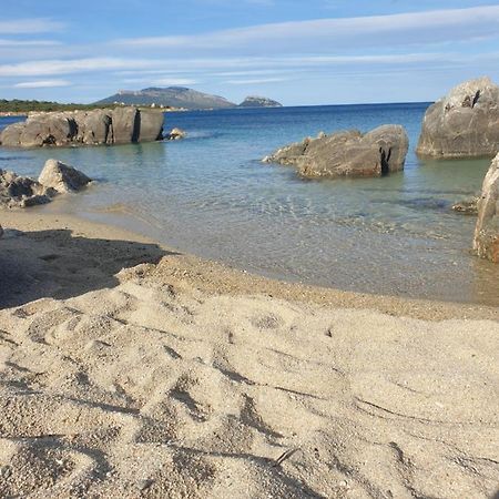 Home On Sardinia Beach 奧爾比亞 外观 照片