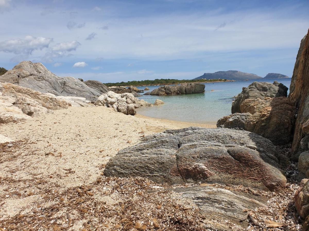 Home On Sardinia Beach 奧爾比亞 外观 照片