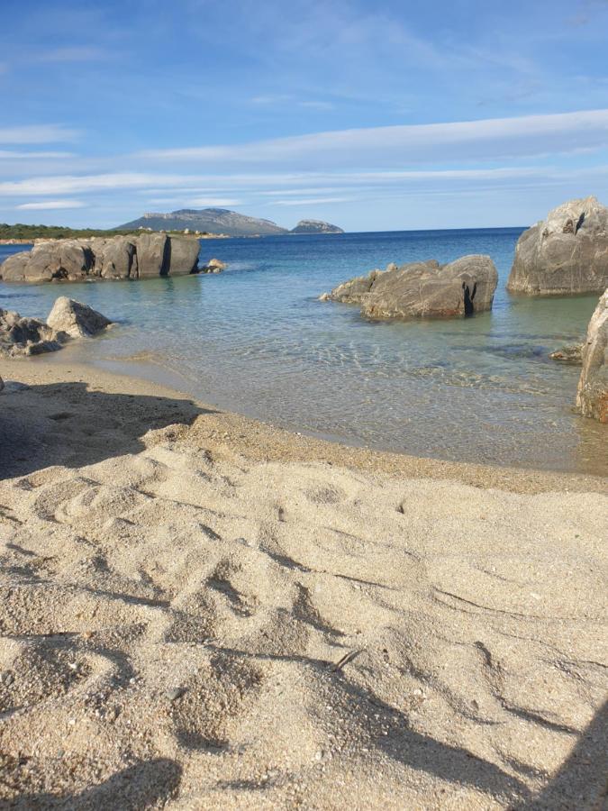 Home On Sardinia Beach 奧爾比亞 外观 照片